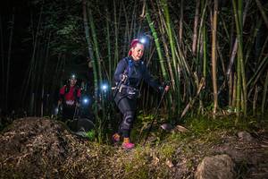 BIB: 
                            <button type="button" onclick="openModal(6944371)" class="btn btn-primary btn-sm float-right btn-popup" data-toggle="modal" data-target=".modal-high-quality">
                        <i class="fas fa-shopping-cart"></i> Add to Cart
                    </button>
                                            <button type="button" onclick="isThisMe(6944371, true)" class="btn btn-success btn-sm float-right btn-popup btn-isme hidden" data-toggle="tooltip" data-placement="bottom" title="นี่คือรูปของคุณใช่ไหม คลิกที่นี่เพื่อเอาเข้าอัลบั้ม">
                        <i class="fas fa-plus"></i> Add to album
                    </button>
                    <button type="button" onclick="isThisMe(6944371, false)" class="btn btn-warning btn-sm float-right btn-popup btn-isnotme hidden">
                        <i class="fas fa-ban"></i> Remove from album
                    </button>